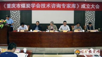 重慶煤炭學(xué)會(huì)聘請(qǐng)80名技術(shù)咨詢(xún)專(zhuān)家，為行業(yè)高質(zhì)量發(fā)展注入新動(dòng)能