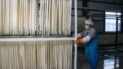 稅務賦能，非遺“活”起來 延邊稅務助力非物質文化遺產傳承與發展